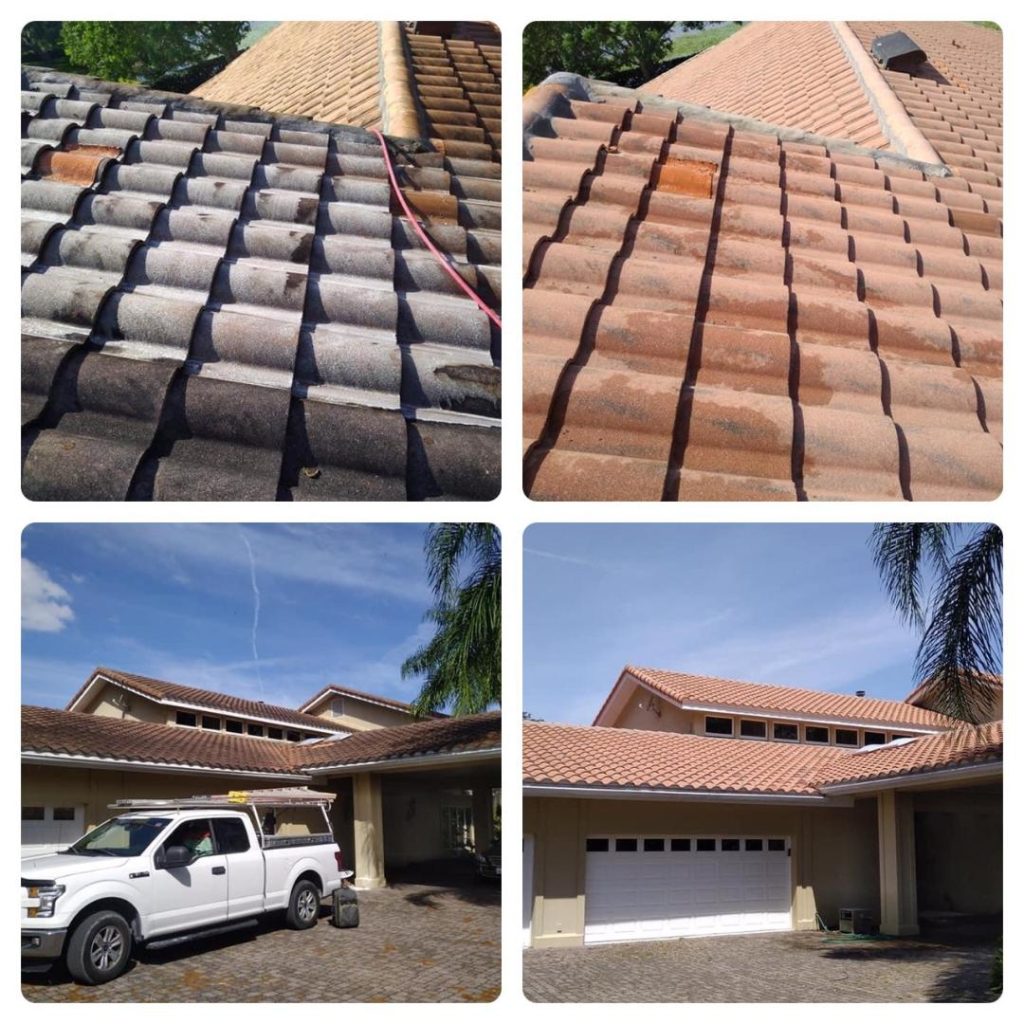 Before and After Roof Washing