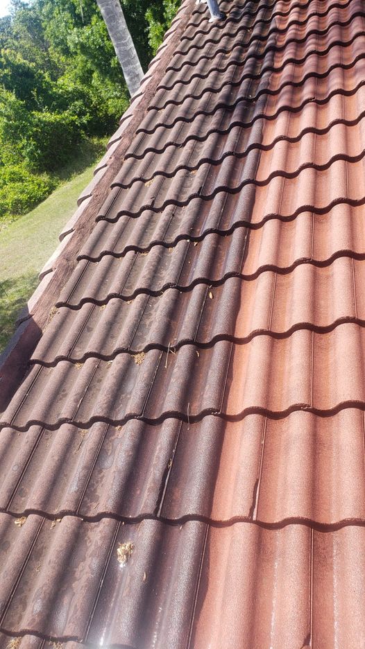 Roof Cleaning Services in Rancho Cordova CA
