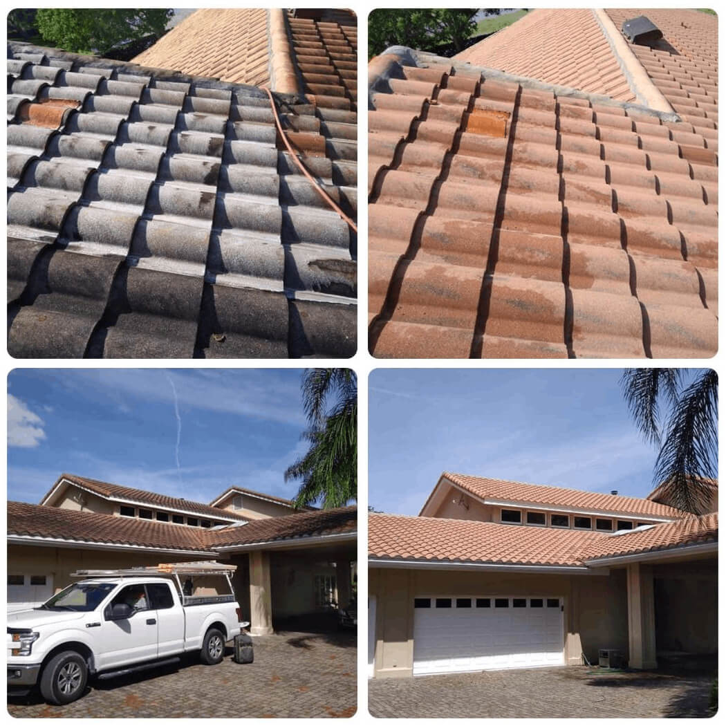 Roof Cleaning before and after