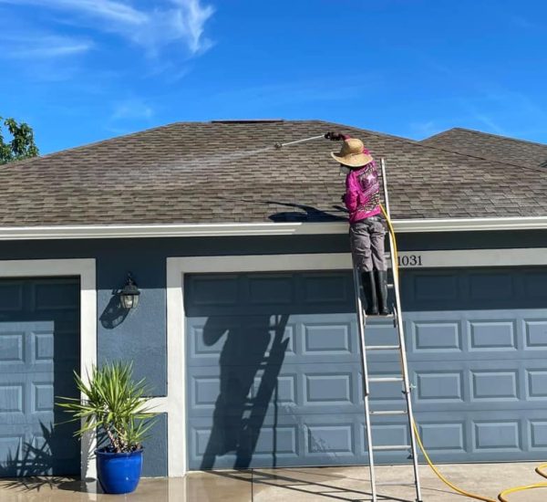 Roof cleaning image